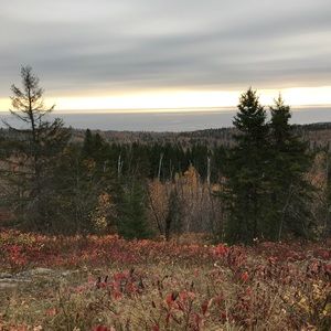 Meet your Posher, Luke